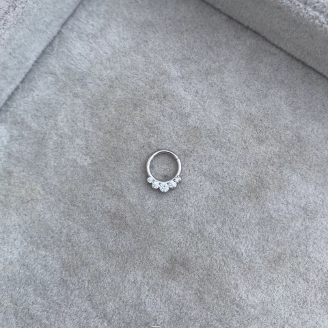 Cierra fácil Taylor - Acero quirúrgico M34.D - comprar online