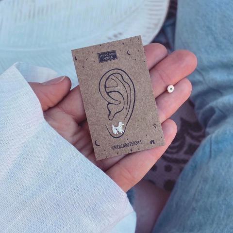 Abridores Caniche - Plata 925 Z13.F