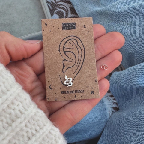 Aro Bicha Lisa - Plata 925 Y21.C