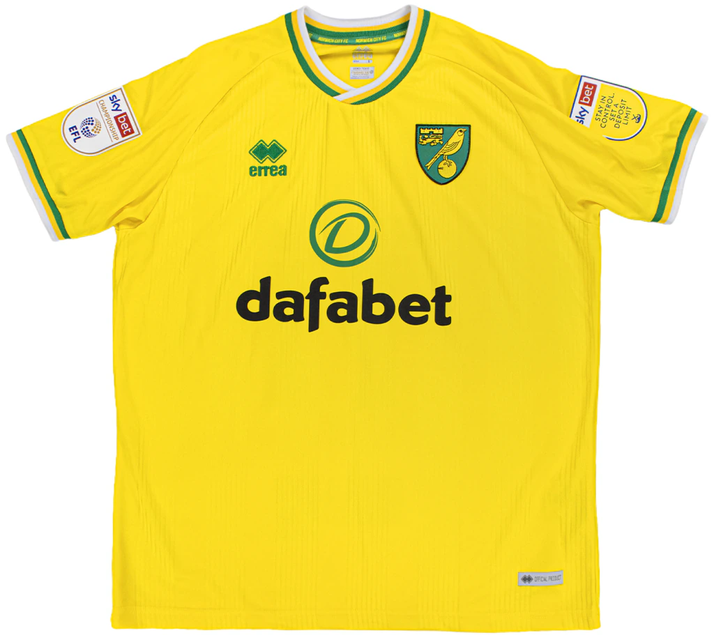 Camisa Titular Norwich City 2020/21 (2/4)
