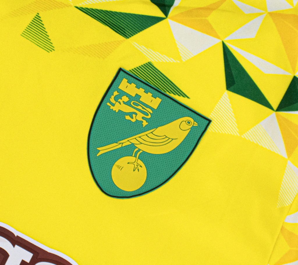 Camisa Titular Norwich City 2018/19 (4/5)