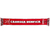 Benfica "Carrega Benfica" na internet