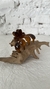 Broche pop carey - comprar online