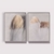 Penas Douradas - Duo - comprar online