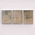 Folhas Texturizadas - Trio - comprar online