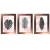 Conjunto Kit 3 Quadros Costela Adão Folhagens Moldura Rosê