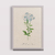 Flores VII - comprar online