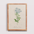 Flores VII - Los Quadros | Quadros para sua decoração