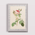 Flores V - comprar online