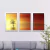 Conjunto Kit 3 Quadros Isolada Ao Pôr do Sol - comprar online