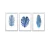 Conjunto Kit 3 Quadros Folhagem Azul-Marinho - Los Quadros | Quadros para sua decoração