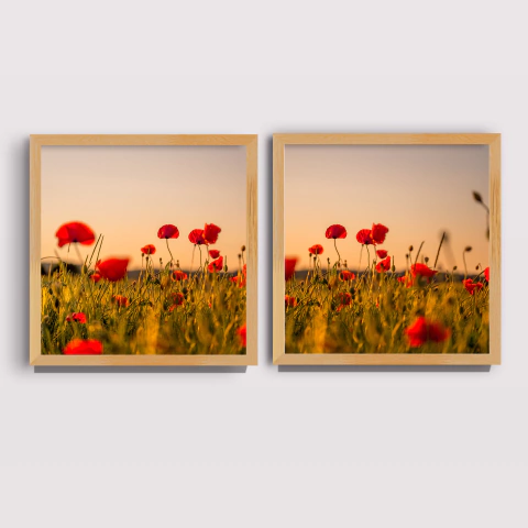 Flores Campo Vermelhas - Los Quadros | Quadros para sua decoração