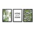 Conjunto Kit 3 Quadros Home Sweet Home Folhagens