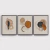 Abstrato Tons Terrosos - Trio - comprar online