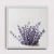 Lavanda Vaso - comprar online