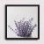 Lavanda Vaso