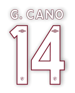 Kit Estampa para Camisa Tricolor 2024/2025 na internet