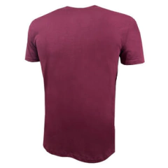 Camisa Fluminense Grená Campeão da América 2023 - Liga Retrô na internet