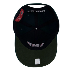 Boné Fluminense Ame o Rio Aba Curva - Supercap - loja online