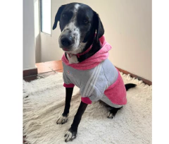 BUZO POLAR SOFT ADIDOG - ROSA - comprar online