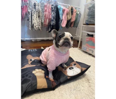 BUZO SOFT CON MANGAS IMPORTADO - ROSA - tienda online