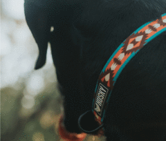 COLLAR HUSKY - HUA HUM - comprar online
