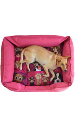 MOISES GRANDE - MESTIZOS FUCSIA - Mundo Pepa Pets