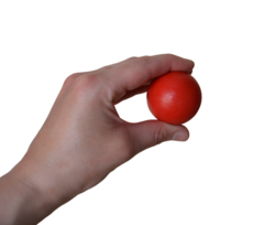 Imagen de PELOTA