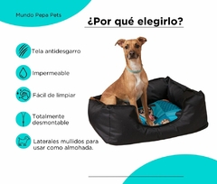 MOISES GRANDE - MESTIZOS FUCSIA - tienda online