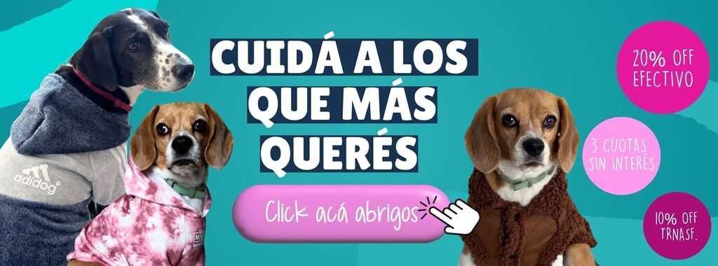 Imagen del carrusel 1
