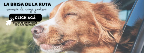 Imagen del carrusel 1