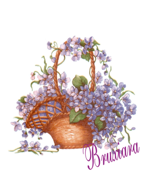 55520 Cesta de flores - comprar online