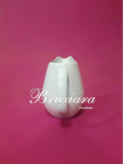 Leiteira Fortuna na internet