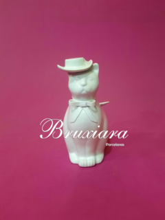 Gato Liso com chapéu