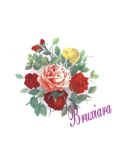 55487 Rosas