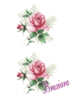 80334 Rosa - comprar online