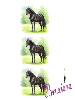 55752 Cavalo preto - comprar online