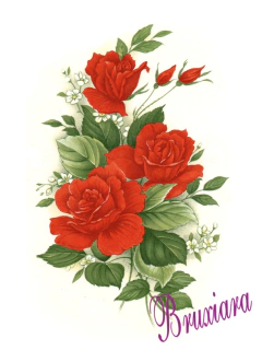 55462(D) Rosas Vermelhas