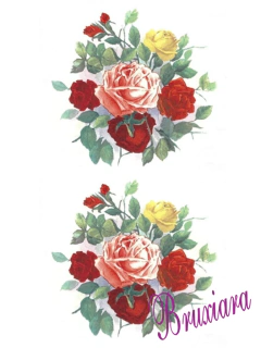55487 Rosas - comprar online