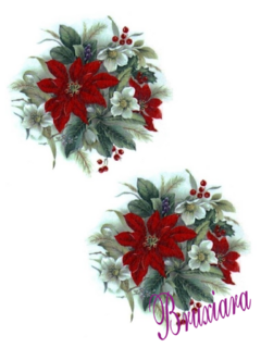 55230 Poinsettia na internet