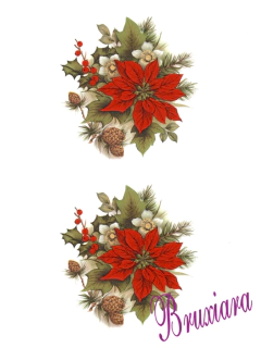 55232(A) Poinsettia - comprar online