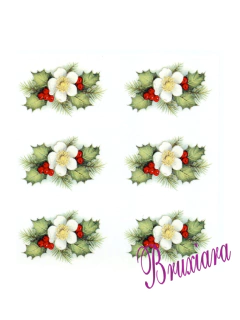 55236 Azevinho - comprar online