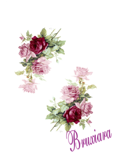 55436 Rosas - comprar online