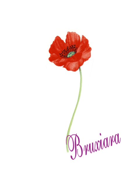 55442(C) Flor - comprar online