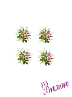 55443 Pink Rose na internet