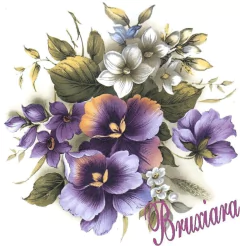 55451 Amor Perfeito Redondo