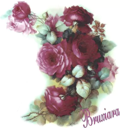55458 Rosas Sando