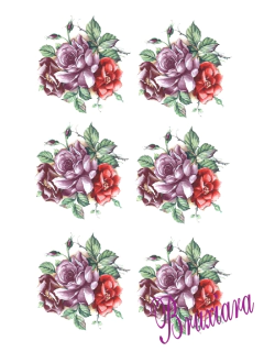 55460 Rosas Redonda na internet