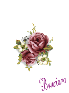 55463(B) Flores