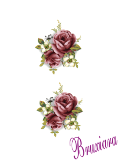 55463(B) Flores na internet
